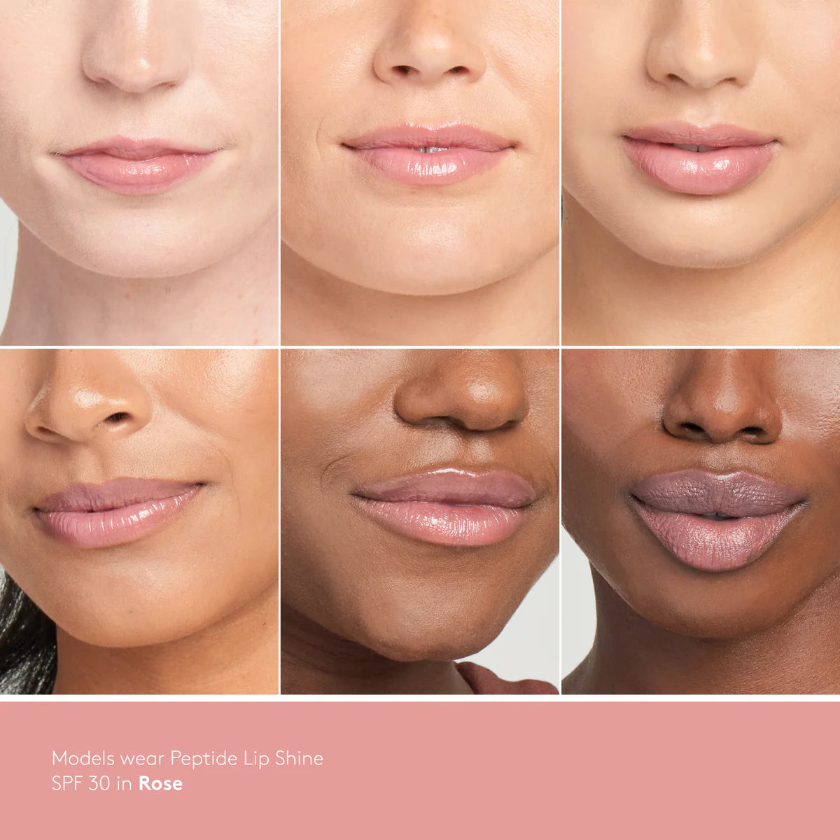 Peptide Lip Shine SPF 30 (shade rose)